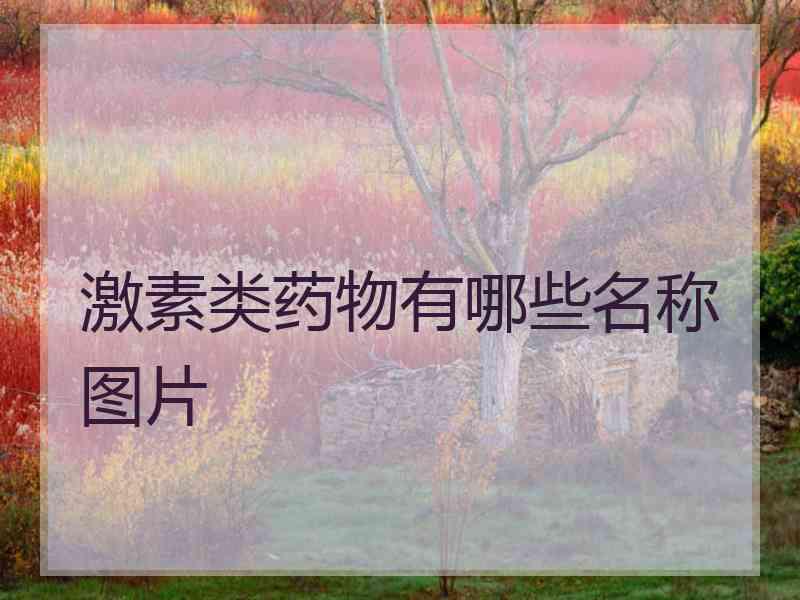 激素类药物有哪些名称图片