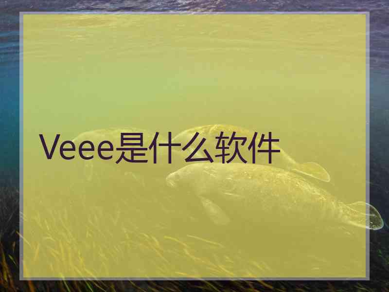 Veee是什么软件