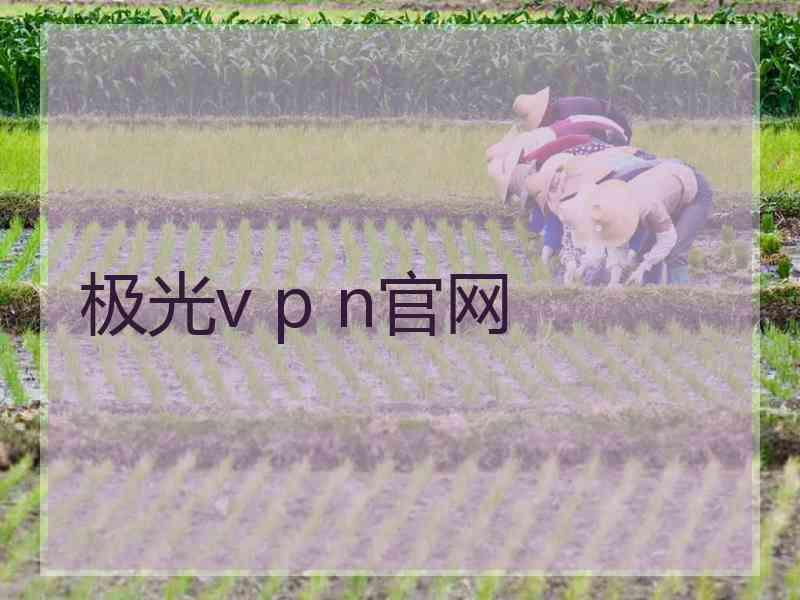 极光v p n官网