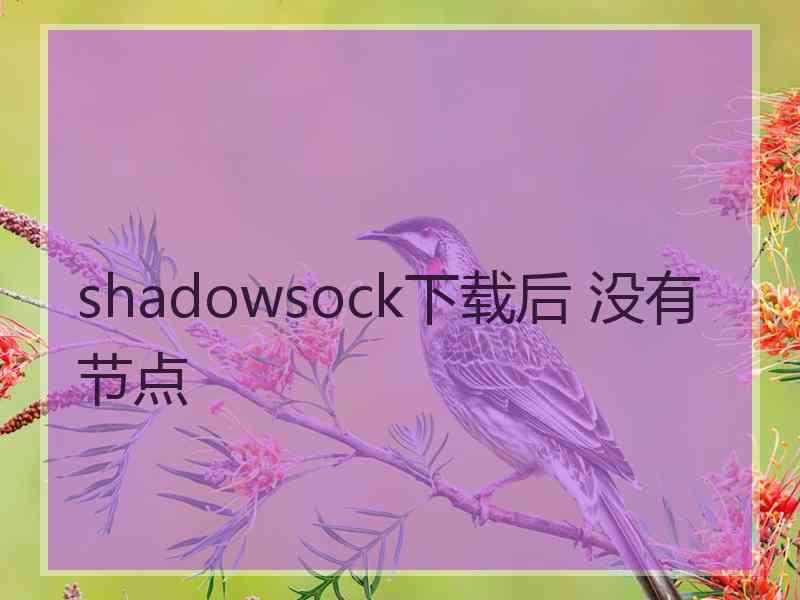 shadowsock下载后 没有节点