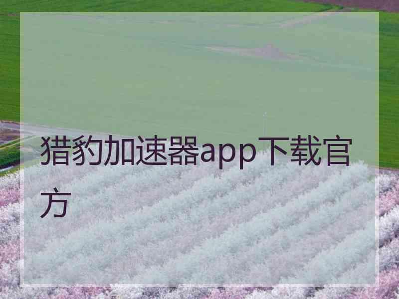 猎豹加速器app下载官方