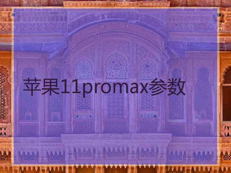 苹果11promax参数