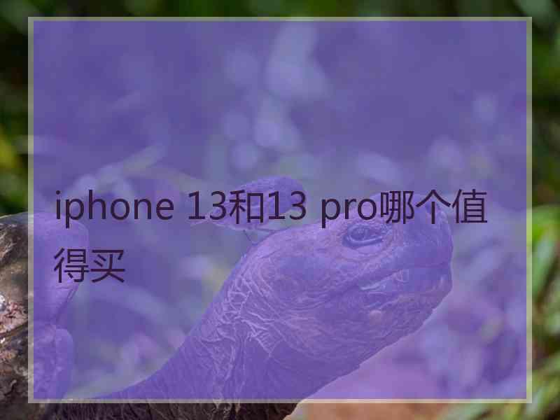 iphone 13和13 pro哪个值得买