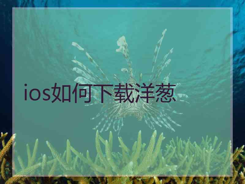 ios如何下载洋葱