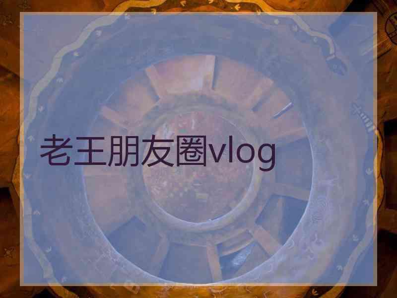 老王朋友圈vlog