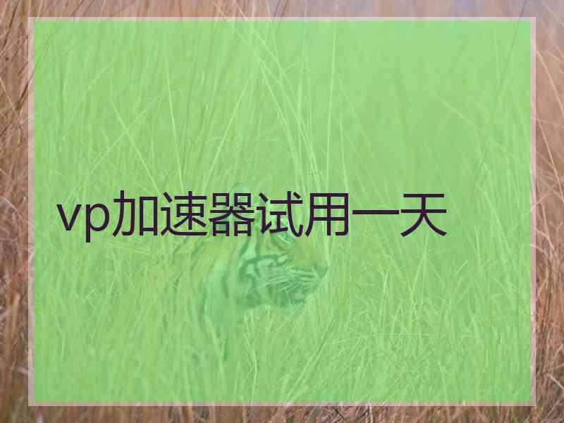 vp加速器试用一天