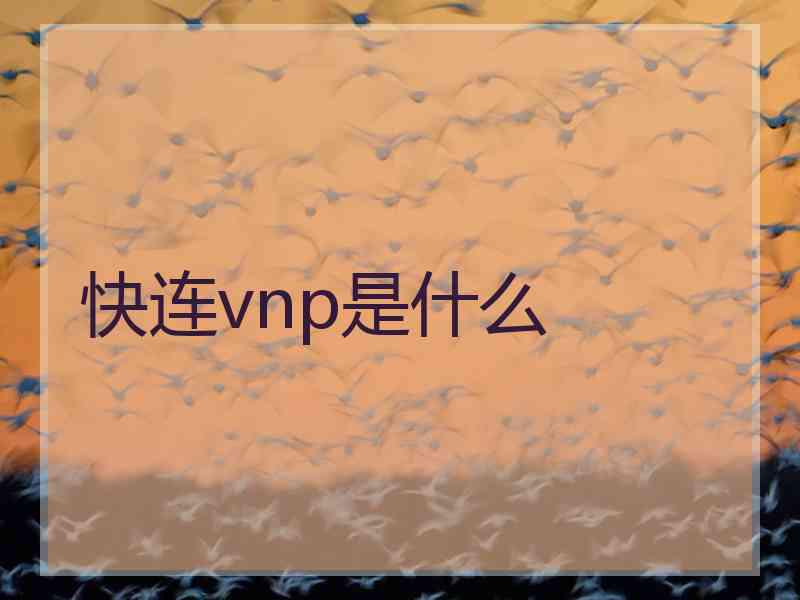 快连vnp是什么