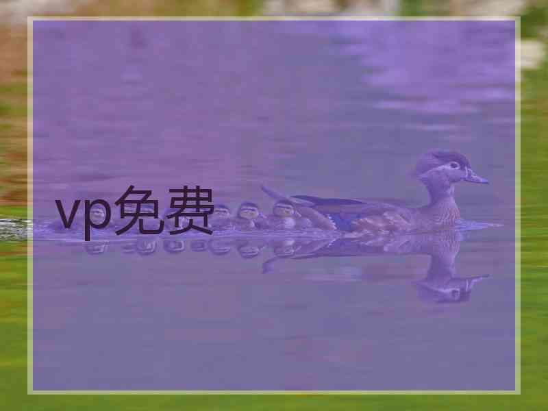 vp免费