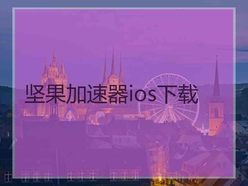 坚果加速器ios下载