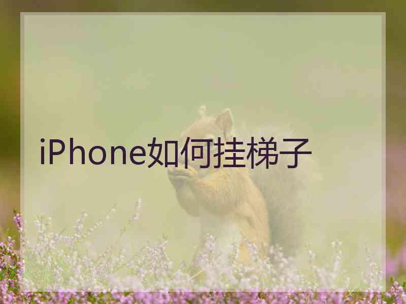 iPhone如何挂梯子